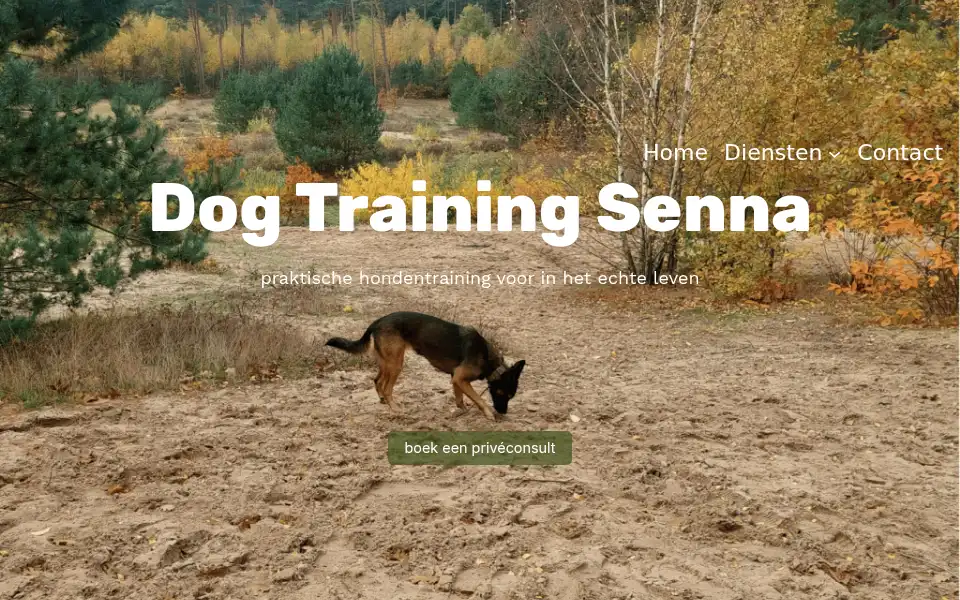 Screenshot of dogtrainingsenna.nl