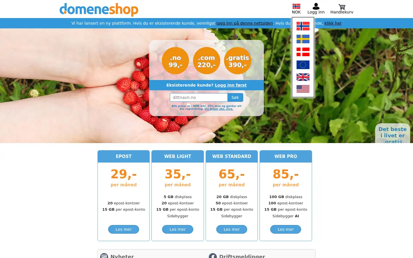 Screenshot of domeneshop.no