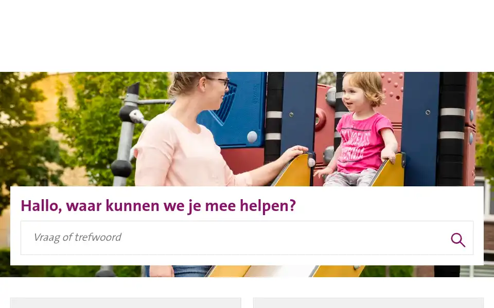 Screenshot of domijn.nl