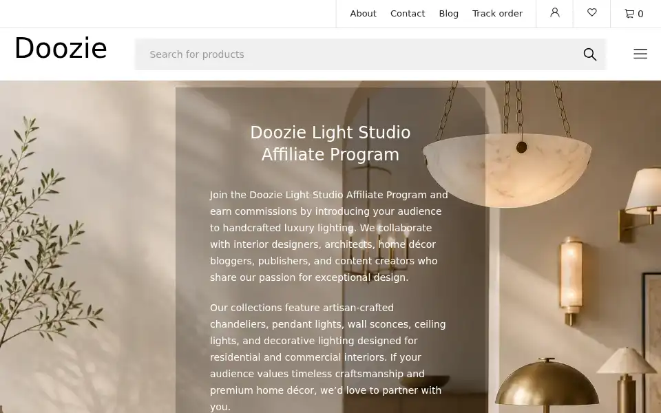 Screenshot of doozielightstudio.com