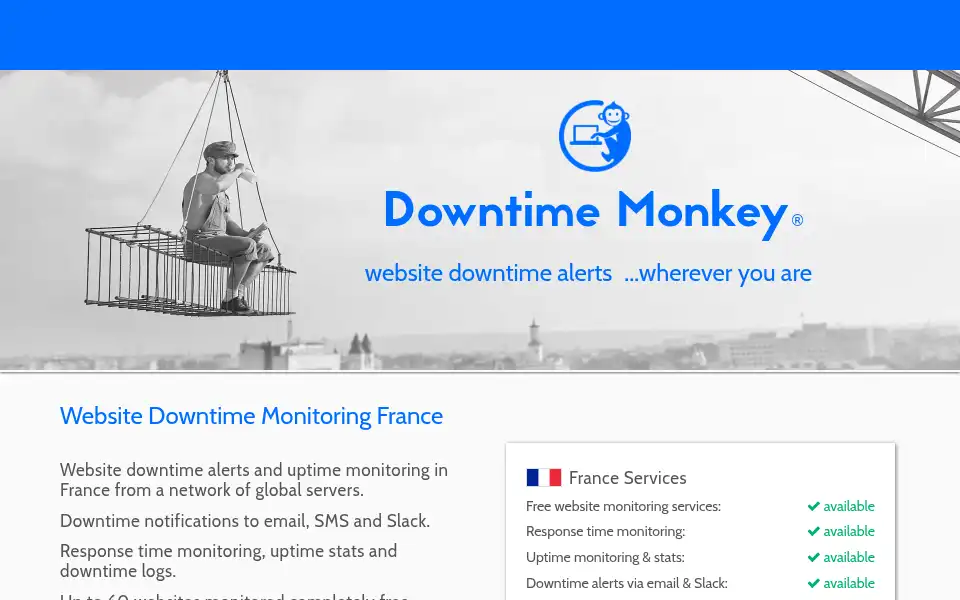 Screenshot of downtimemonkey.com
