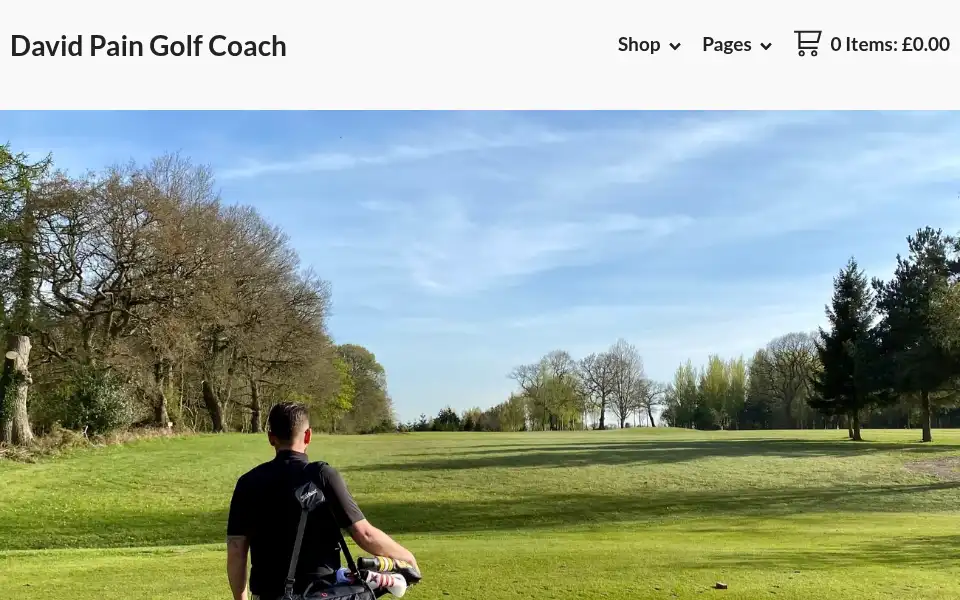 Screenshot of dpaingolf.bigcartel.com