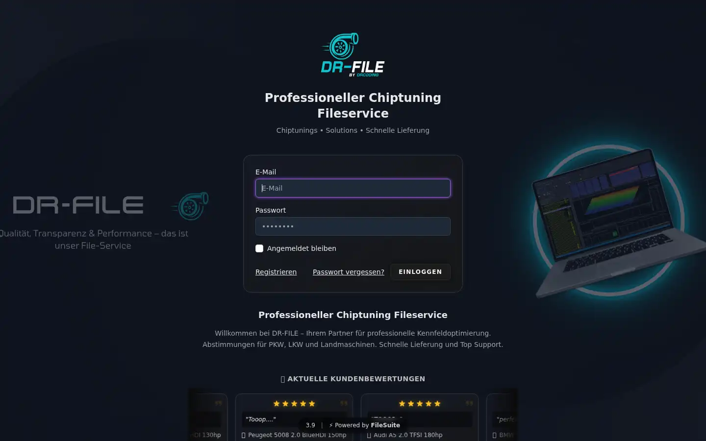 Screenshot of dr-file.de