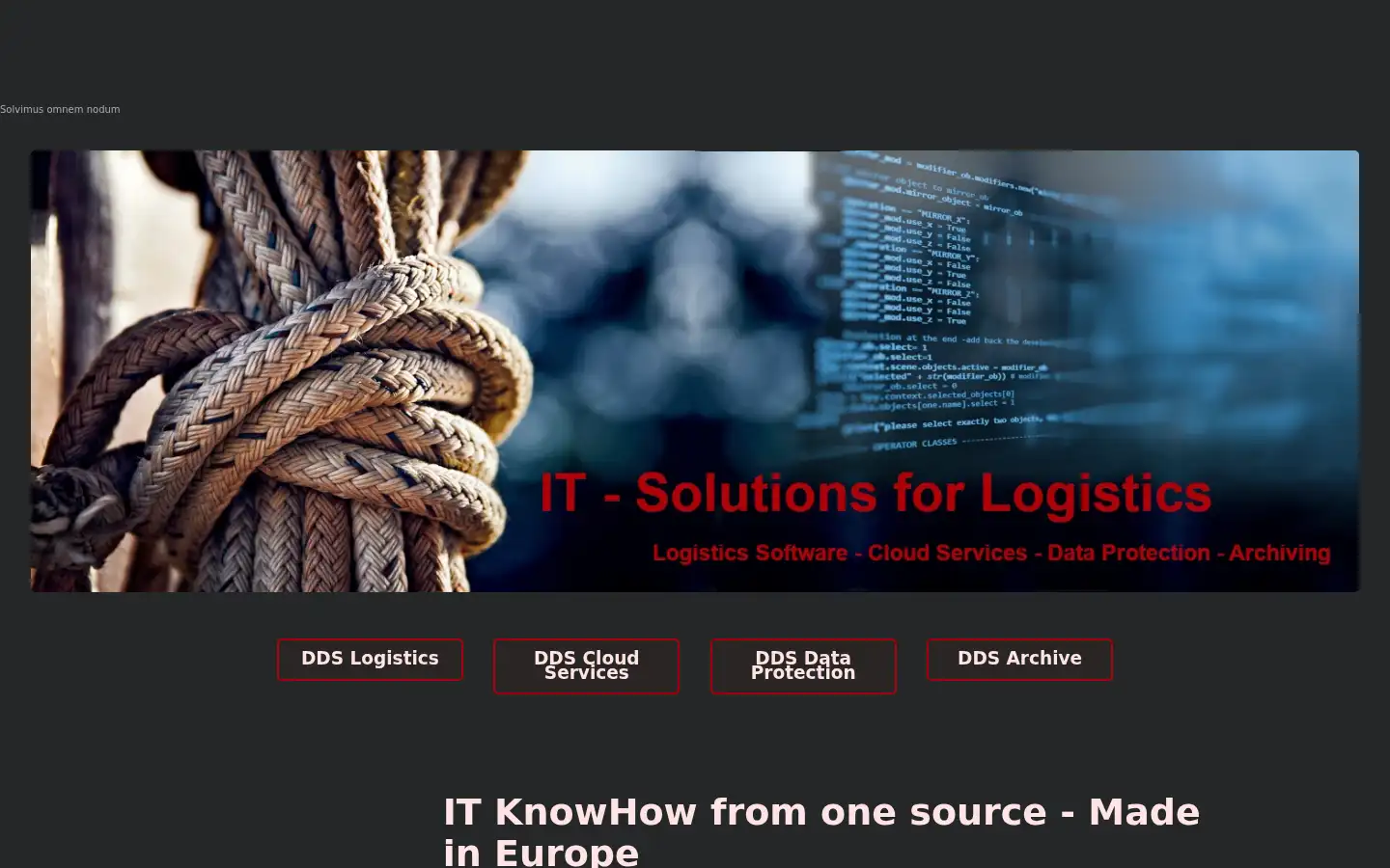 Screenshot of dragon-data-solutions.de