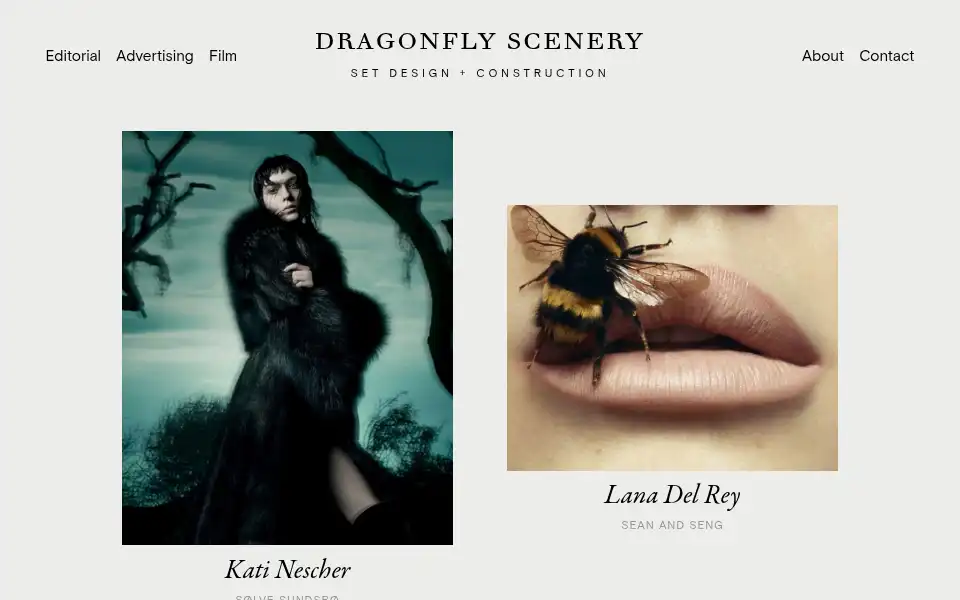 Screenshot of dragonflyscenery.com