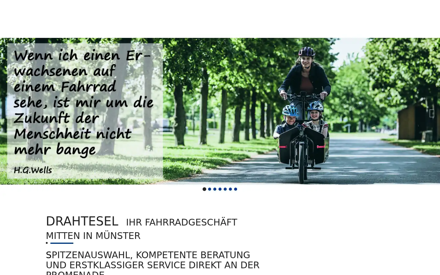 Screenshot of drahtesel-muenster.de