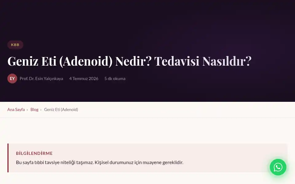Screenshot of dresinyalcinkaya.com