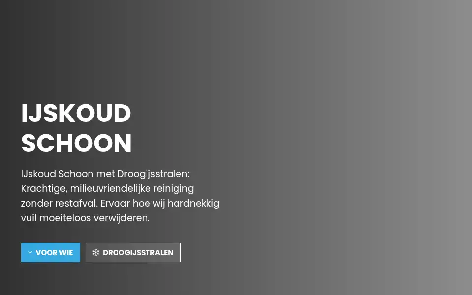 Screenshot of dricecleaning.nl