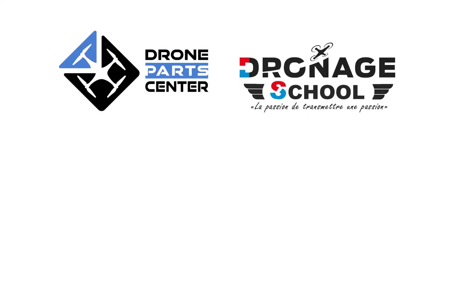 Screenshot of dronage.eu
