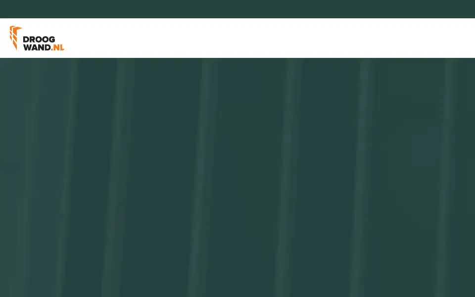 Screenshot of droogwand.nl
