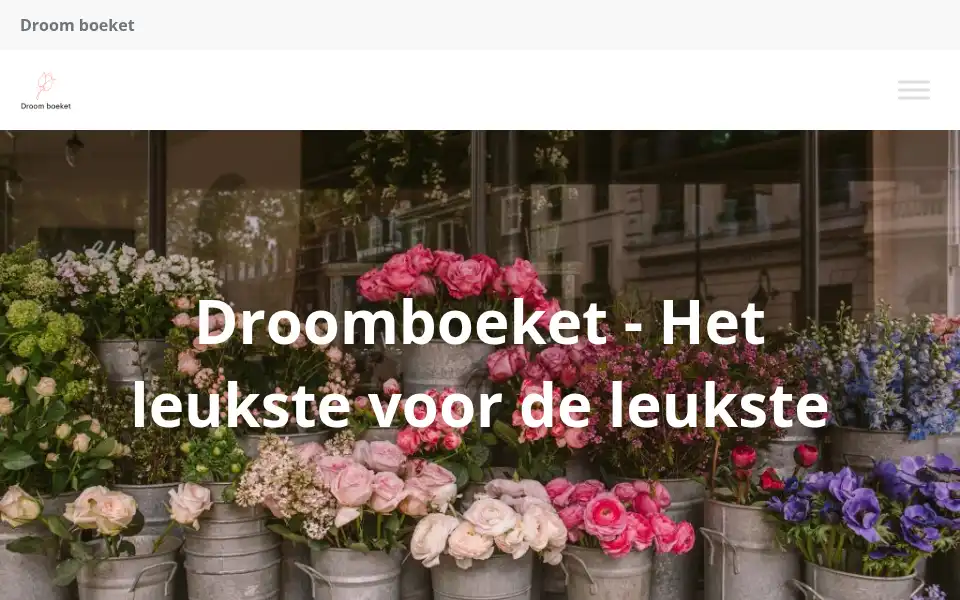Screenshot of droomboeket.nl