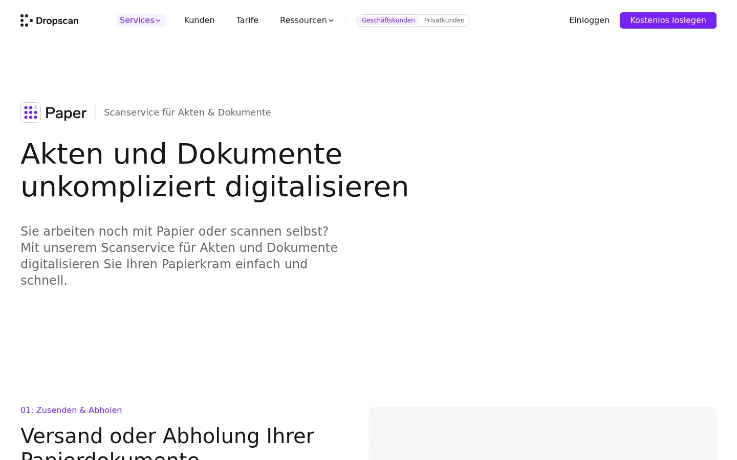 Screenshot of dropscan.de