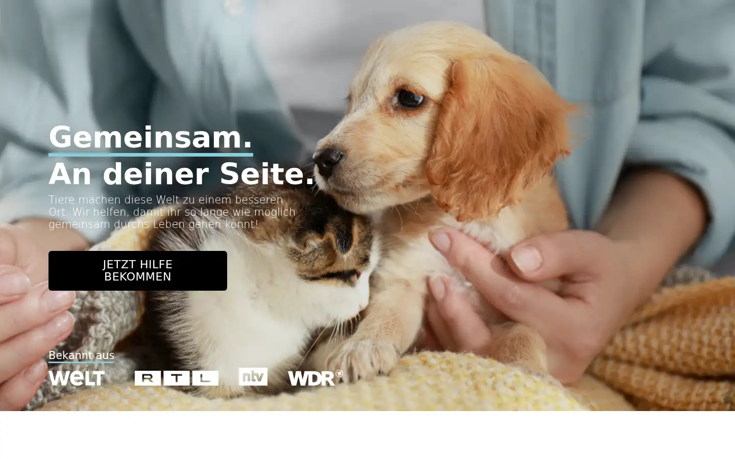 Screenshot of drsam.de