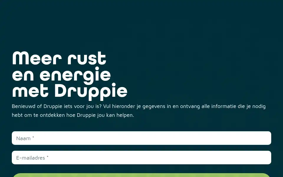 Screenshot of druppie.nl