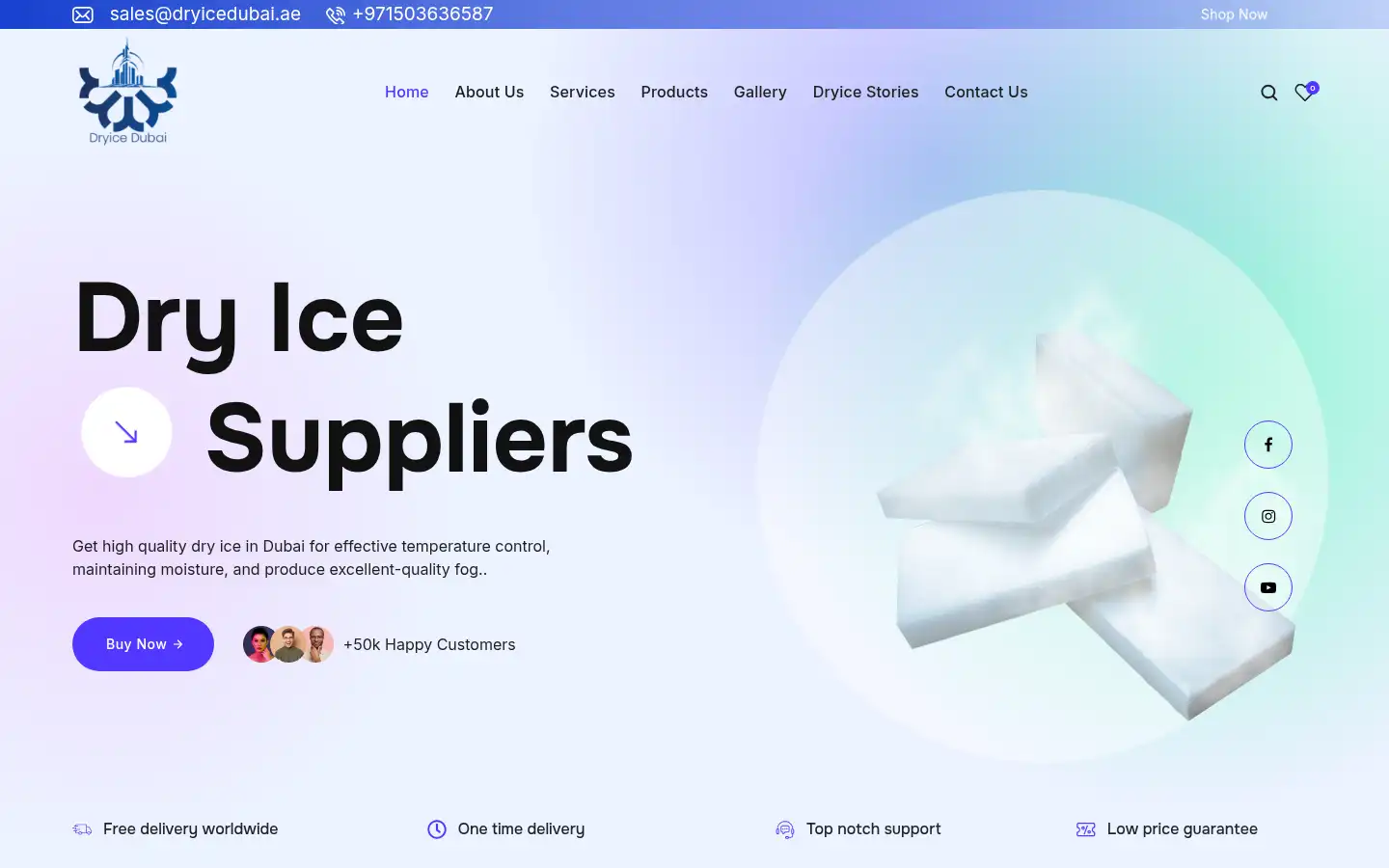 Screenshot of dryicedubai.ae