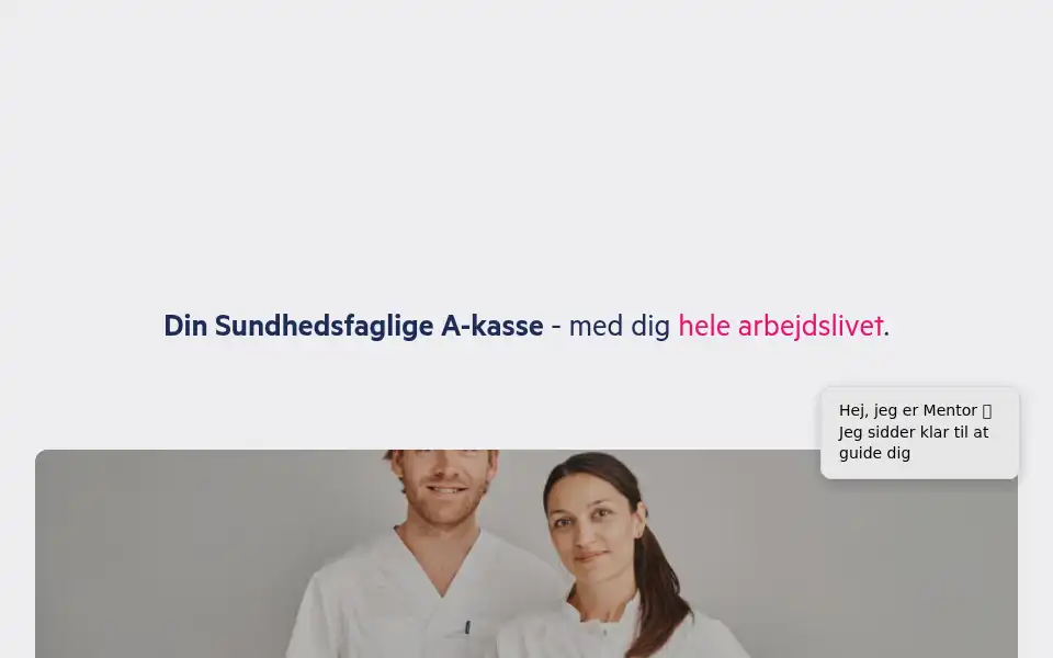 Screenshot of dsa.dk