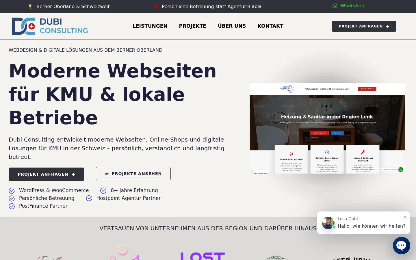 Screenshot of dubi-consulting.eu