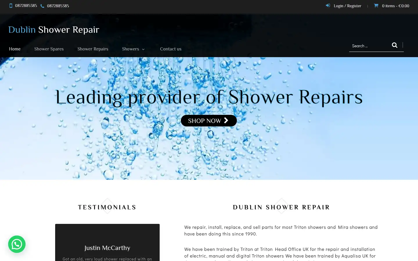 Screenshot of dublinshowerrepair.com