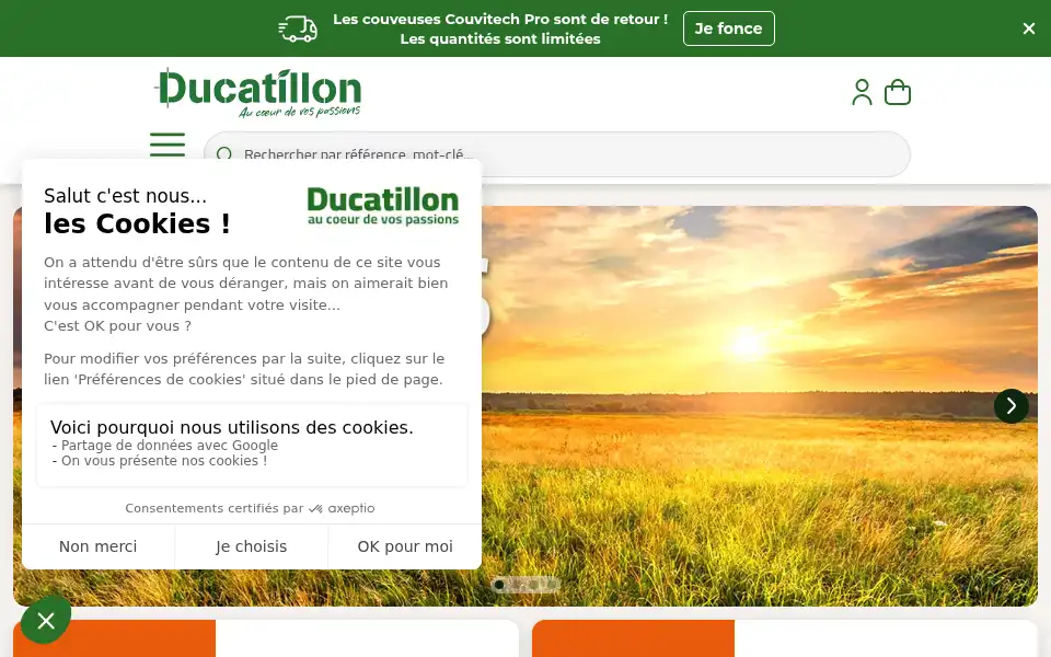 Screenshot of ducatillon.com