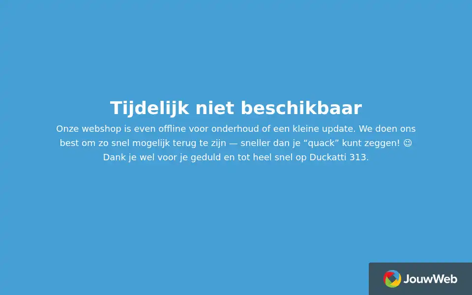 Screenshot of duckatti313.nl