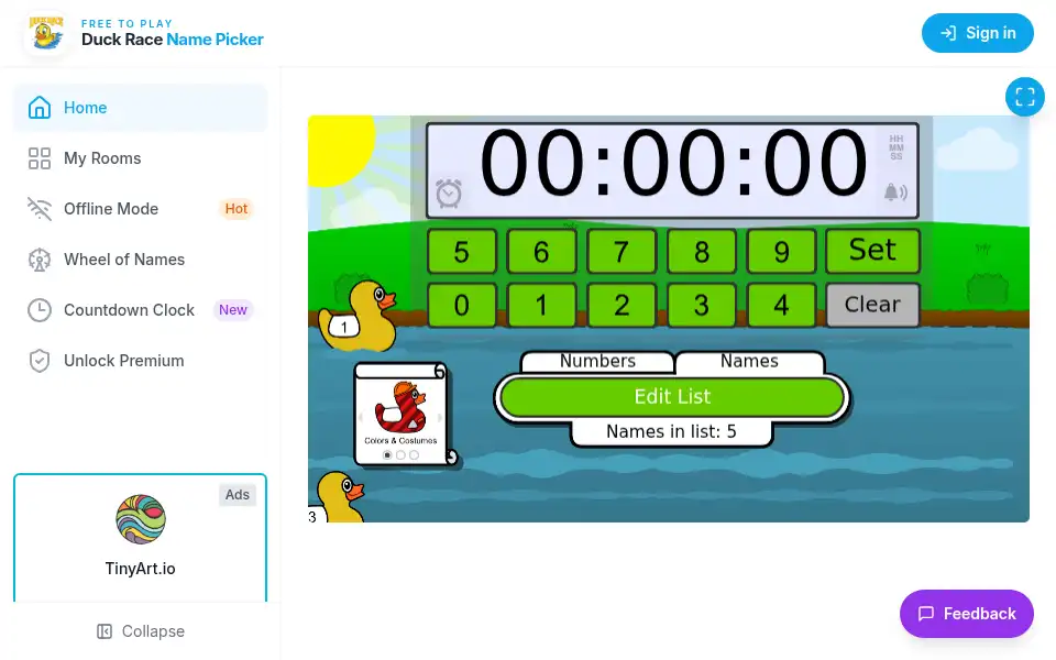 Screenshot of duckrace-game.com