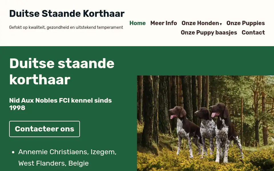 Screenshot of duitse-staande.com