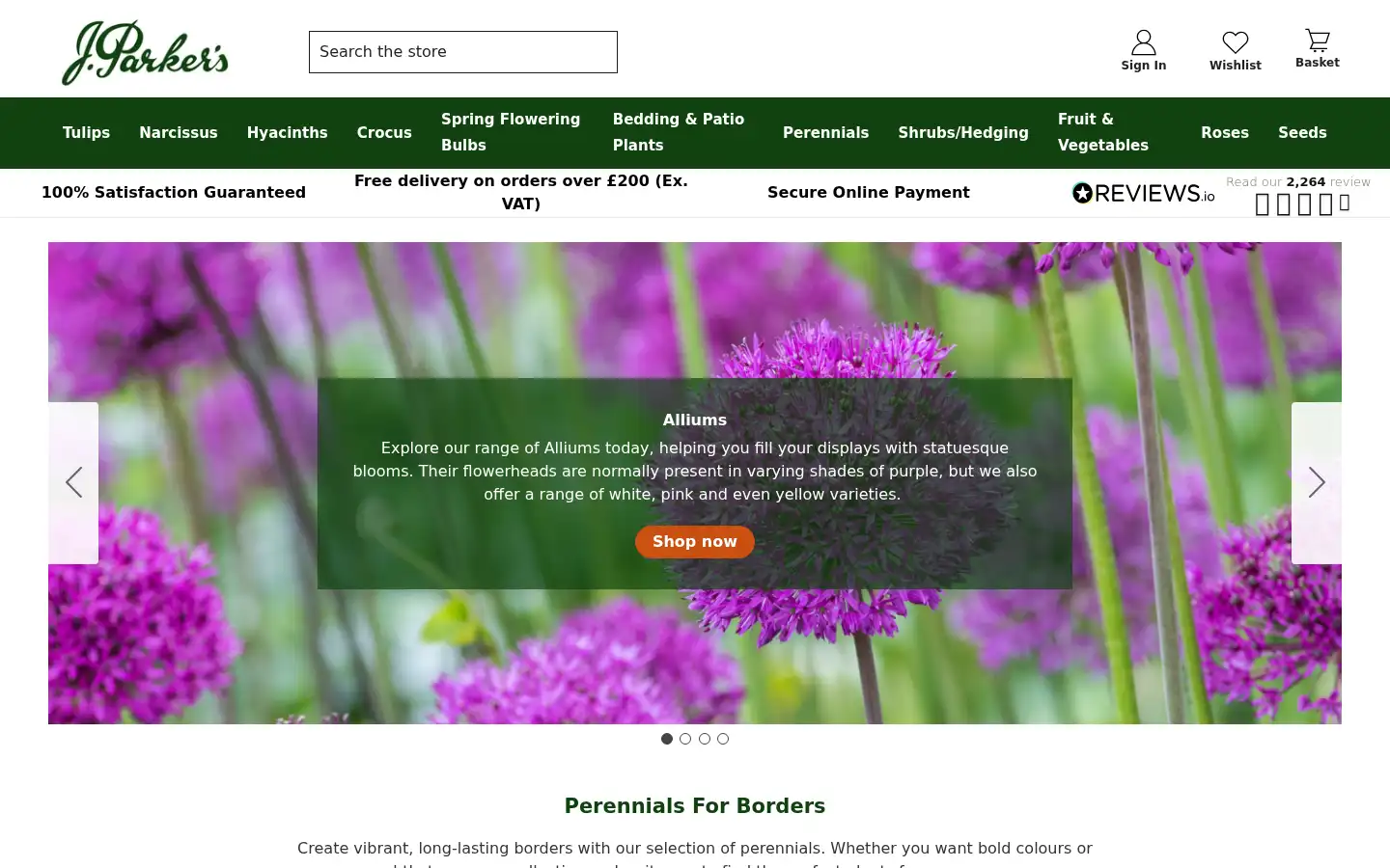 Screenshot of dutchbulbs.co.uk