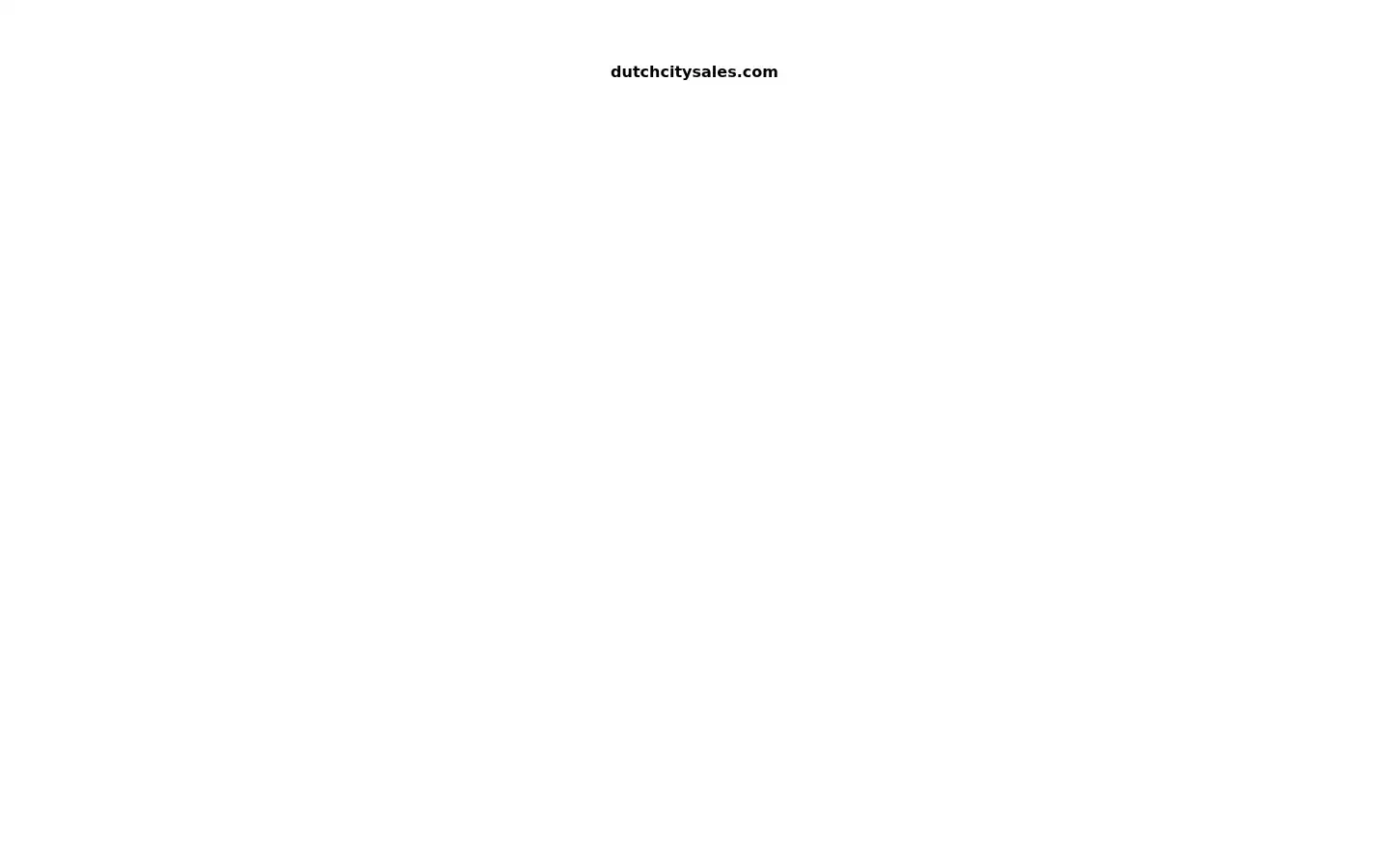 Screenshot of dutchcitysales.com