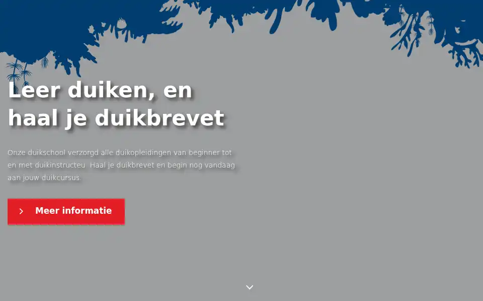 Screenshot of dutchscubadivers.nl