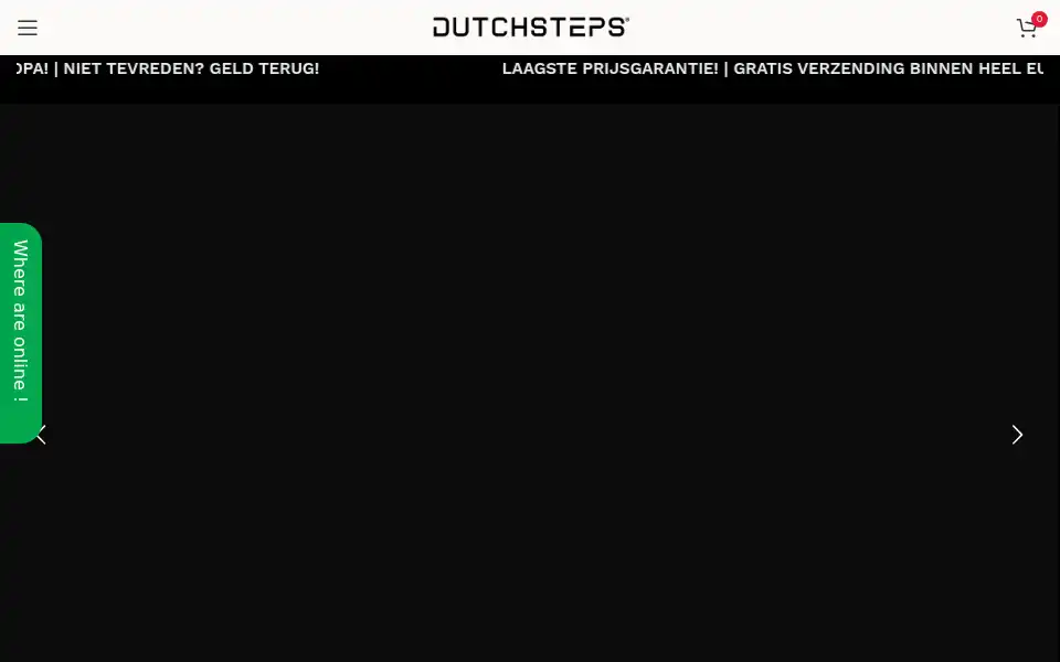 Screenshot of dutchsteps1.com