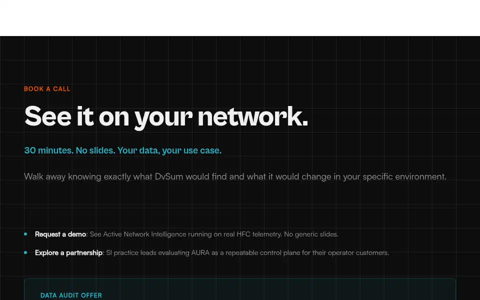 Screenshot of dvsum.ai