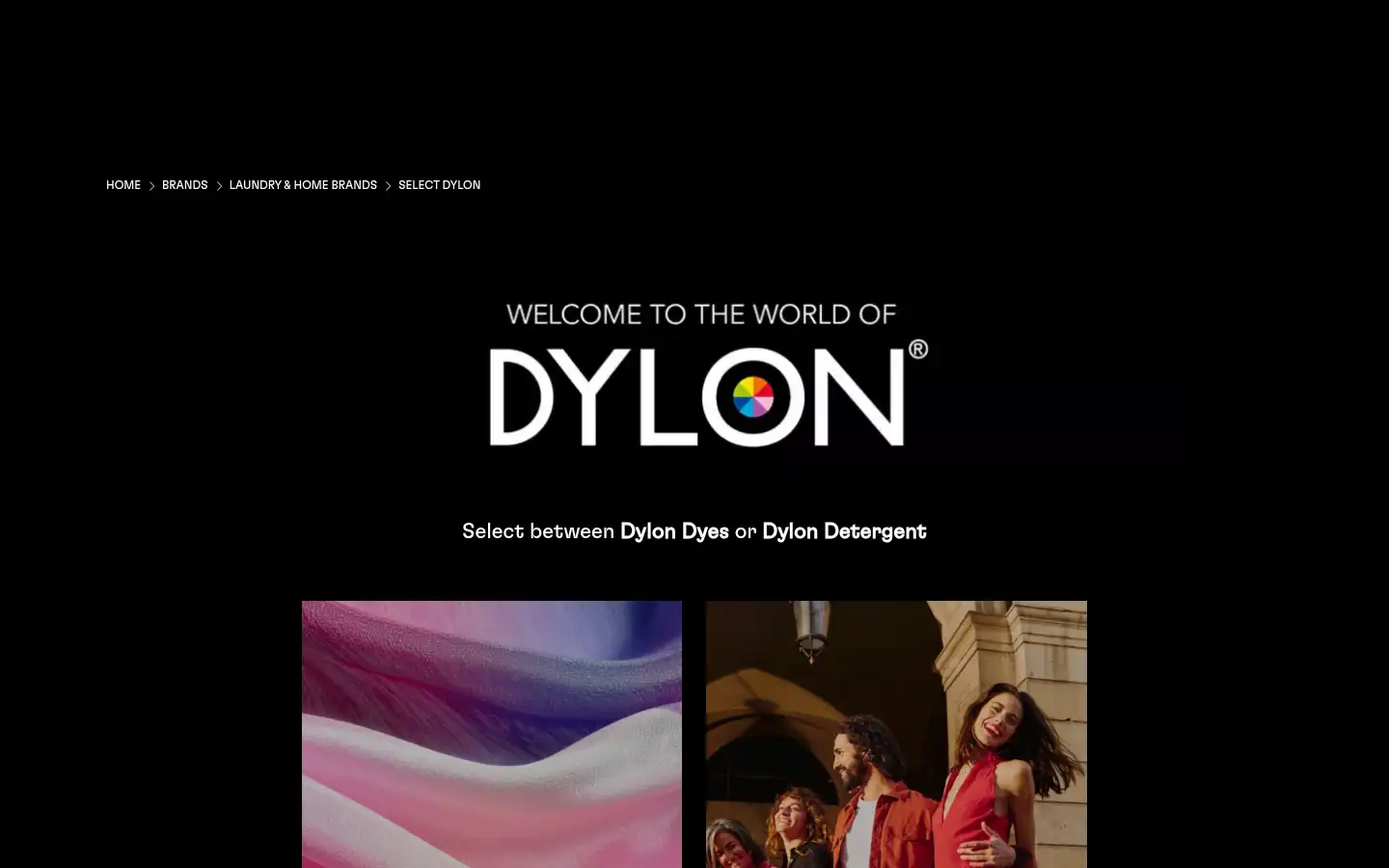Screenshot of dylon.co.uk