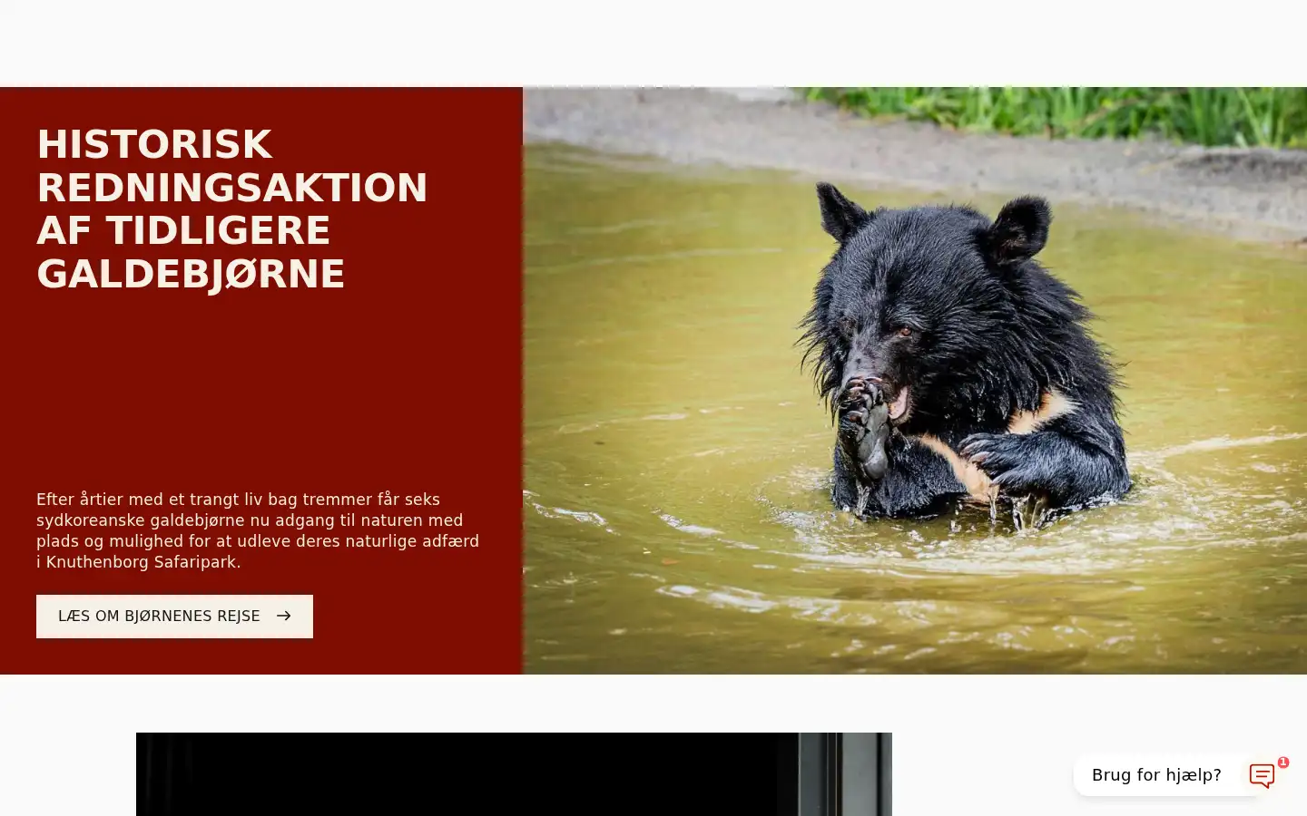 Screenshot of dyrenesbeskyttelse.dk