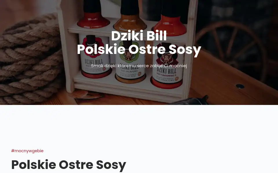 Screenshot of dzikibill.pl