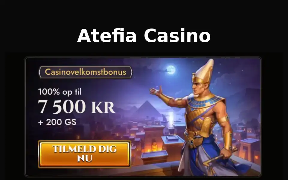 Screenshot of e-trade.dk