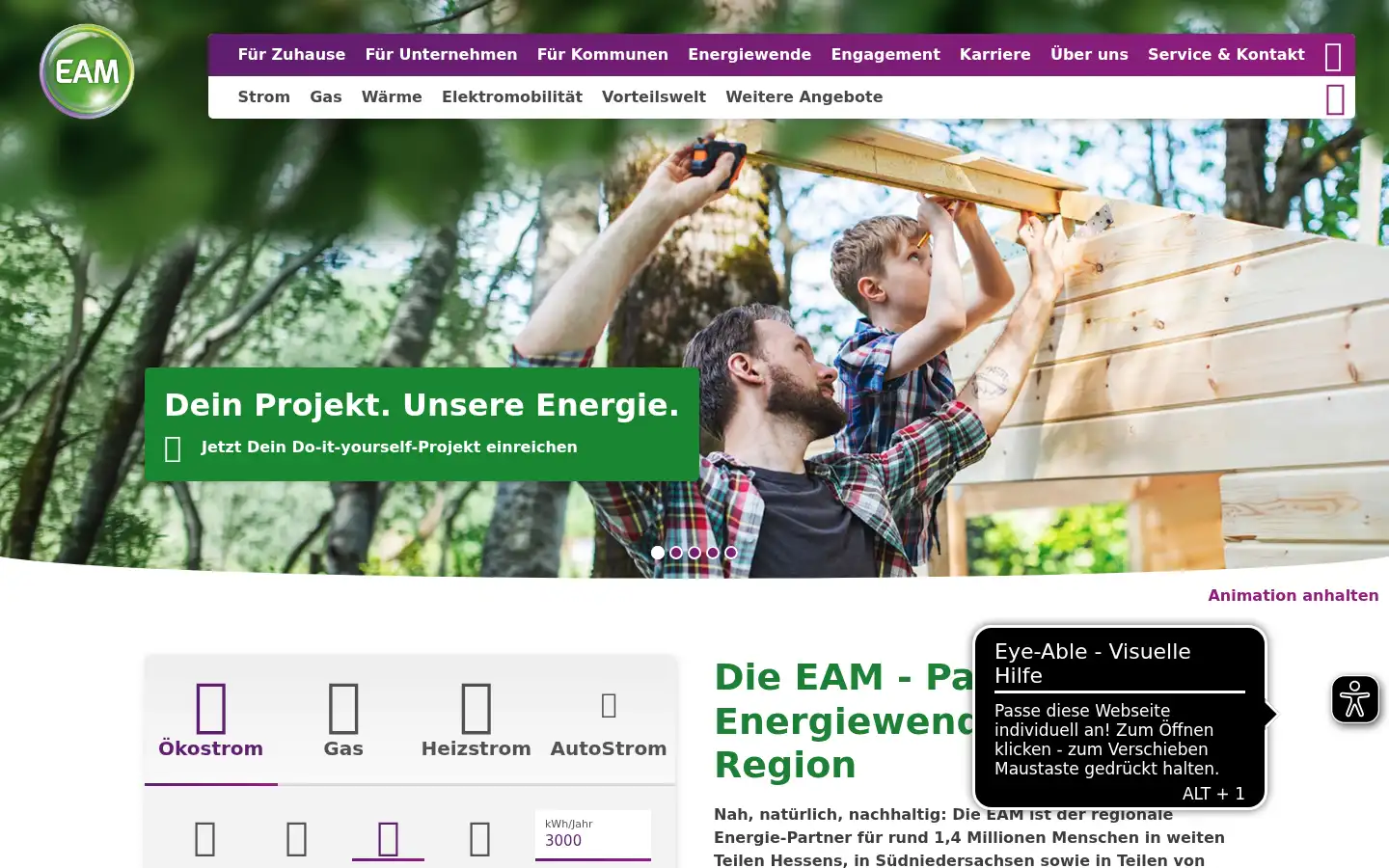 Screenshot of eam.de