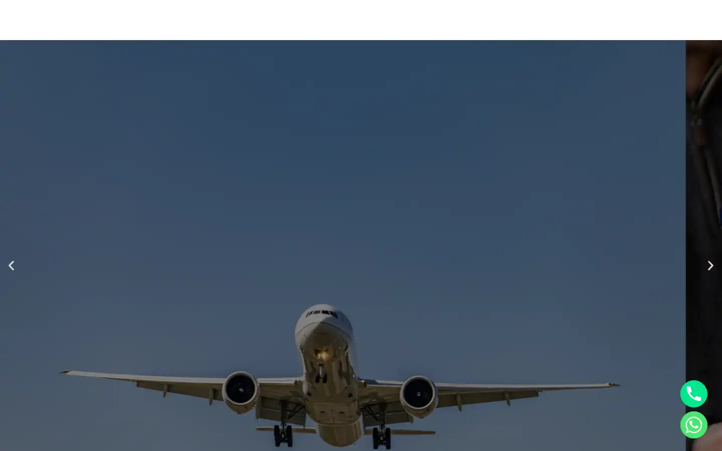 Screenshot of ease-assist.com