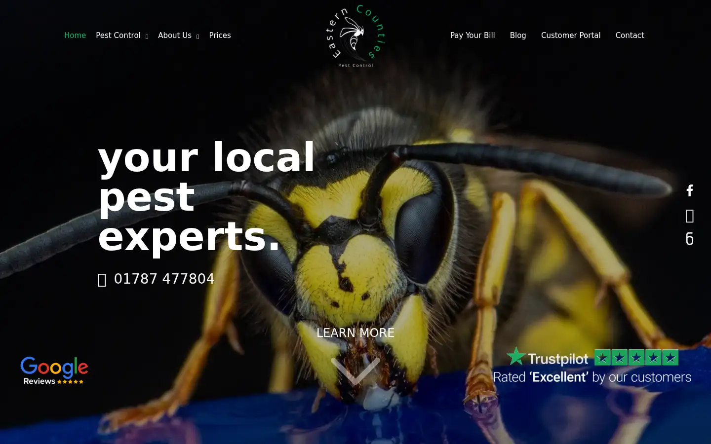 Screenshot of easternpestcontrol.co.uk