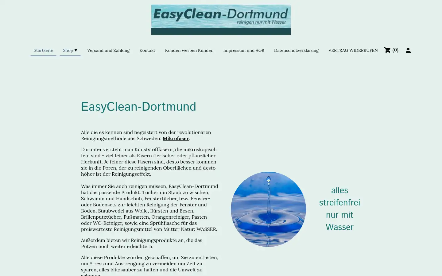 Screenshot of easyclean-dortmund.de