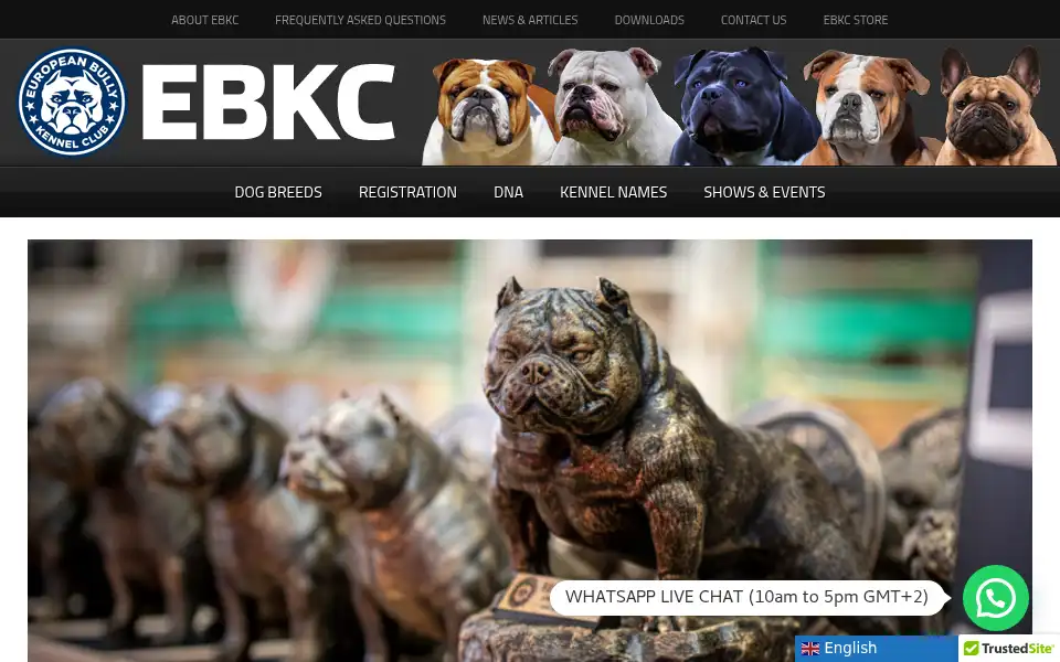 Screenshot of ebkc.org