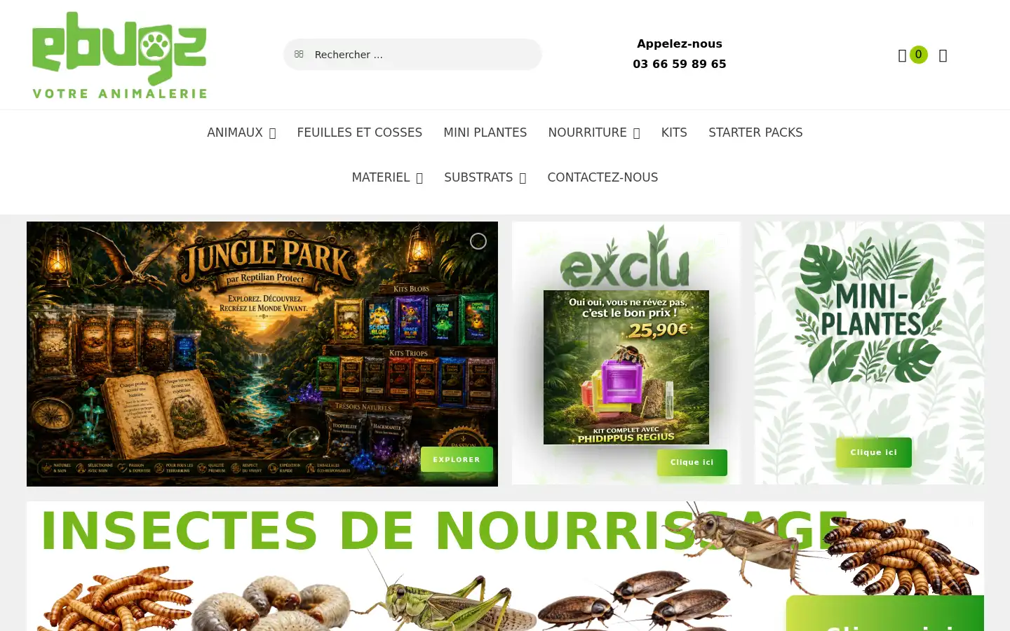 Screenshot of ebugz.eu