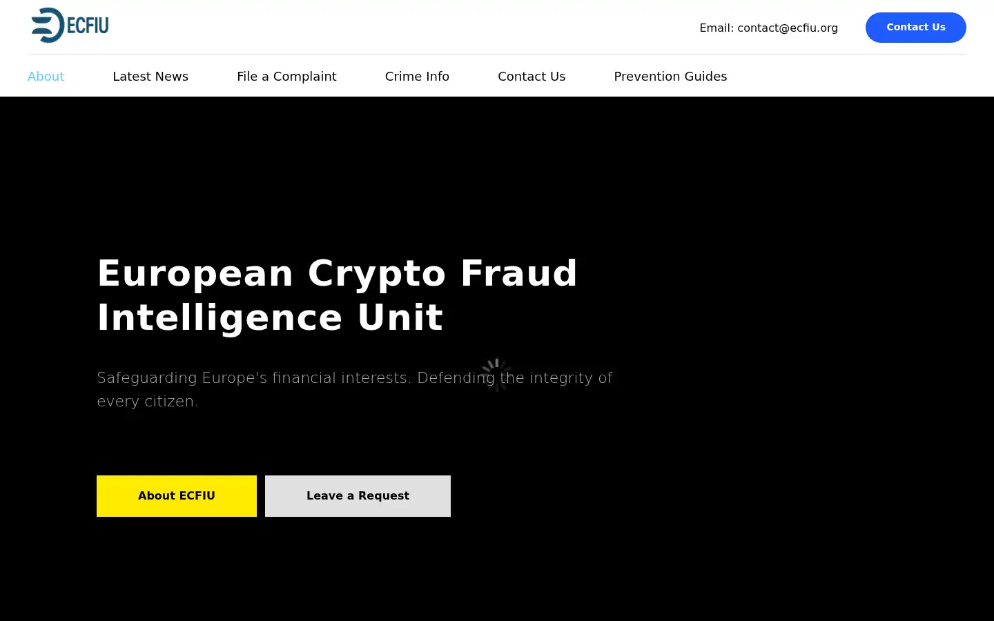 Screenshot of ecfiu.org