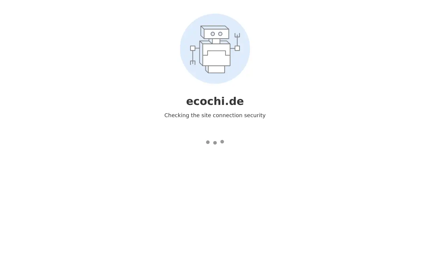 Screenshot of ecochi.de