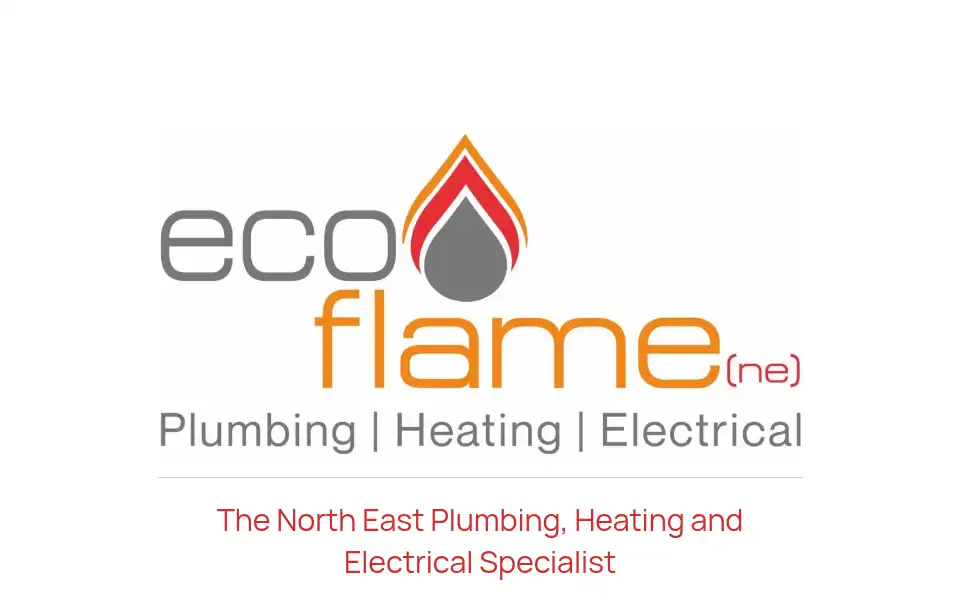 Screenshot of ecoflame-ne.co.uk