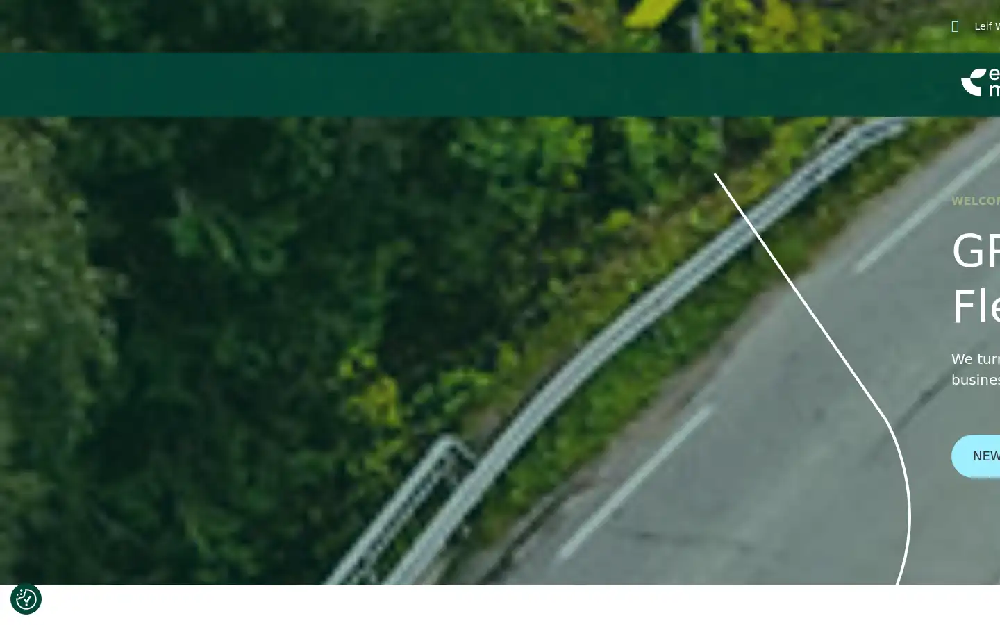 Screenshot of ecomobility.com