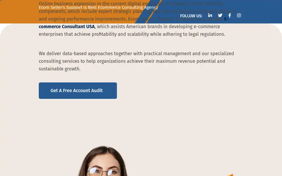 Screenshot of ecomsellerssupport.com