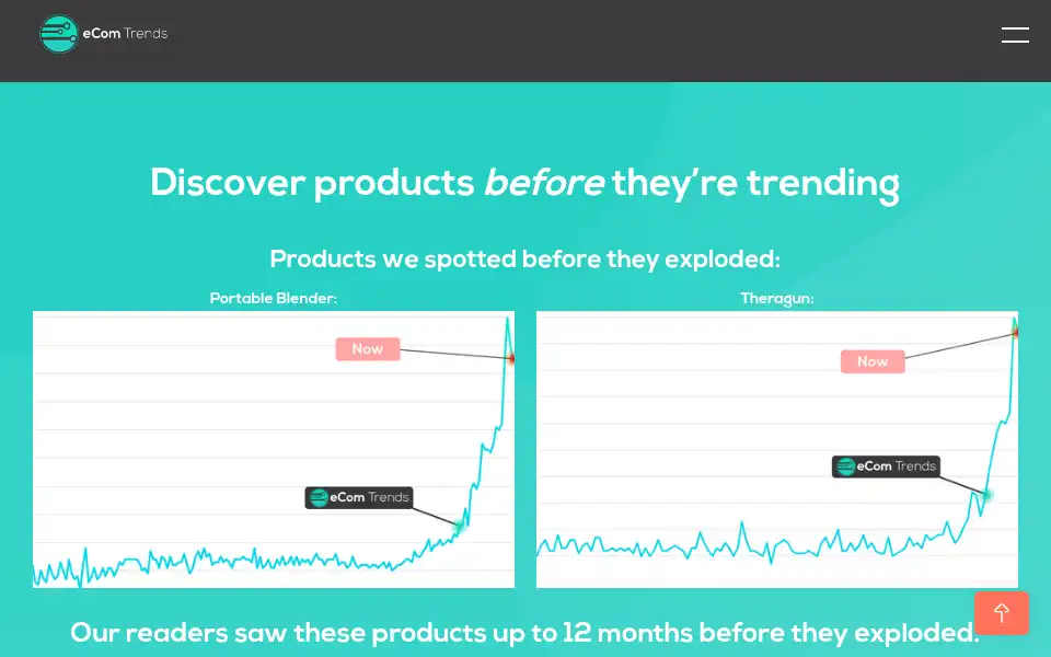 Screenshot of ecomtrends.co