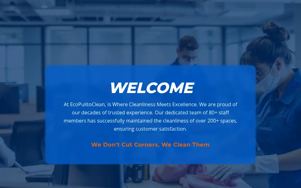 Screenshot of ecopulitoclean.co.uk
