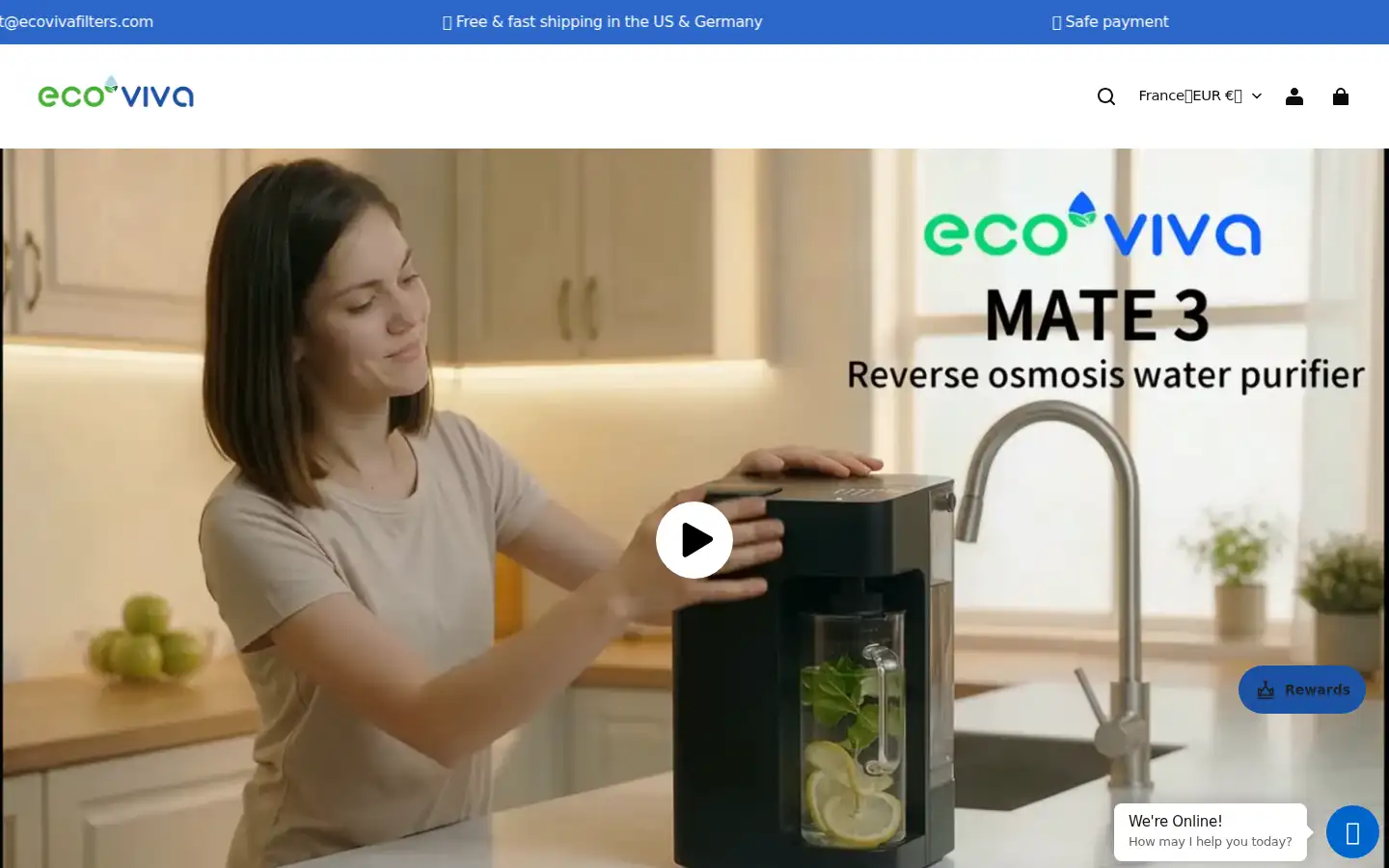 Screenshot of ecovivafilters.com