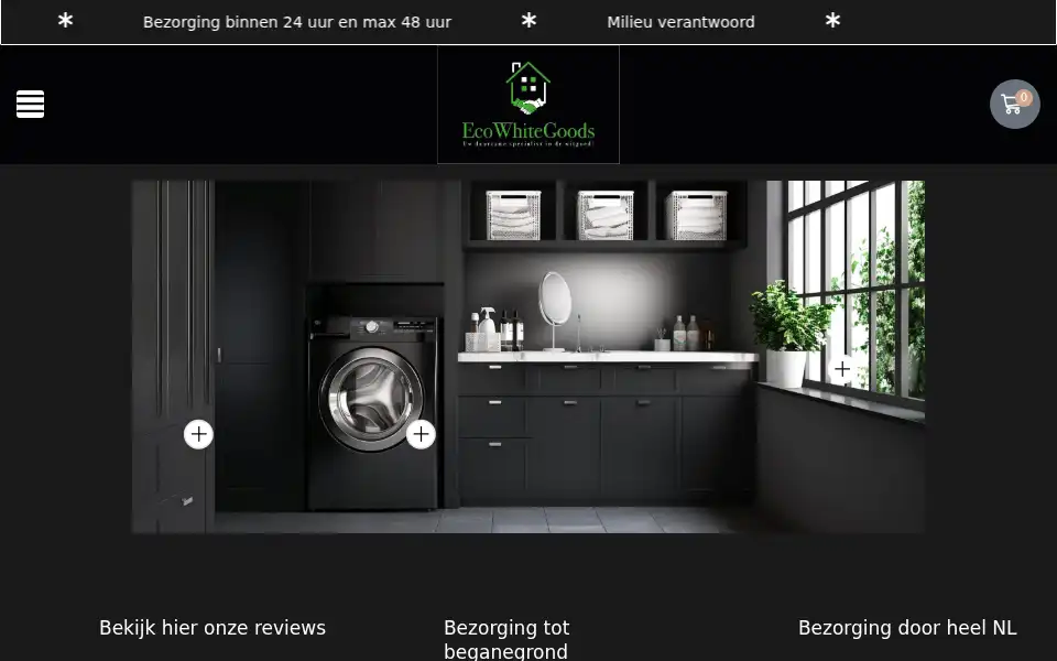 Screenshot of ecowhitegoods.nl